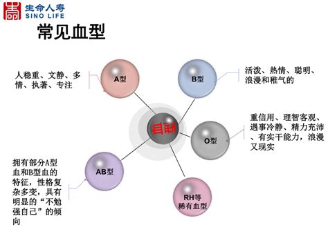 血型 分析|血型性格论